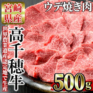 【ふるさと納税】<A4等級以上>宮崎県産!高千穂牛うで肉(500g)厳選和牛の焼肉用ウデ肉!美味しい牛肉をご家庭で!【A-3】【JA高千穂地区ミートセンター】