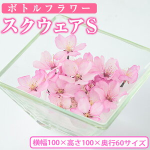 yӂ邳Ɣ[Łz{gt[ XNEFA(S)  t[ CeAyAT003zy{gt[atelier4-flowersz