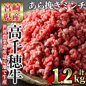 【ふるさと納税】高千穂牛サーロインステーキ【C-2】