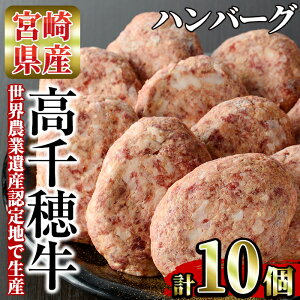 【ふるさと納税】<A4等級以上>宮崎県産!高千穂牛使用のハンバーグ(計10個・2個×5P)厳選和牛の牛肉ハンバーグ!【A-121】【JA高千穂地区ミートセンター】