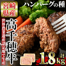【ふるさと納税】高千穂牛 ハンバーグの種(計1.8kg・900g×2P)国産 宮崎県産 宮崎牛 牛肉 ハンバーグ 霜降り A4 和牛 ブランド牛 【MT006】【JAみやざき 高千穂牛ミートセンター】