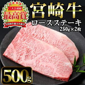宮崎牛 ステーキの人気商品 通販 価格比較 価格 Com