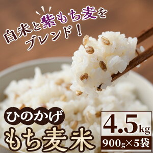 yӂ邳Ɣ[Łzs\tI2025N11菇\聄 V E ߘa7NY {茧VeY  (900g×5) ʌ  qmqJ   Y  yAF001z