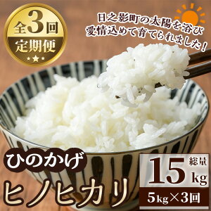 yӂ邳Ɣ[Łzs\tI2025N11菇\聄 V E ߘa7NY ʌES3Eց{茧VeY qmqJ(15kgE5kg×3)   Y ͂ 