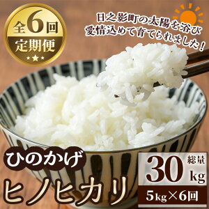 yӂ邳Ɣ[Łzs\tI2025N11菇\聄 V E ߘa7NY ʌES6Eց{茧VeY qmqJ(30kgE5kg×6)   Y ͂ 