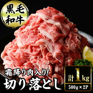 yӂ邳Ɣ[Łz؂藎Ƃa(500g×2P) Y {茧Y јa  ܐ؂ Ԑ؂ u߂ ~ a yAR011zy(L)Lcq{Y HHZ^[z