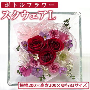 yӂ邳Ɣ[Łz{gt[ XNEFA(L)   t[ CeAyAT001zy{gt[atelier4-flowersz