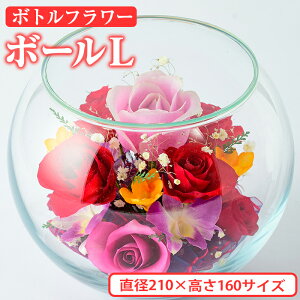 yӂ邳Ɣ[Łz{gt[ {[ (L)  t[ CeAyAT008zy{gt[atelier4-flowersz