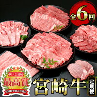 お肉のお楽しみ定期便！全国和牛能力共進会で最高賞を受賞した宮崎牛をご家庭で...