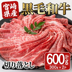 【ふるさと納税】宮崎県産黒毛和牛切り落とし(600g・300g×2P)モモ カタ バラ 国産 牛肉 こま肉 精肉 宮崎県産牛 お肉 黒毛和牛 おにく お取り寄せ【SJ009】【日本ハムマーケティング株式会社】