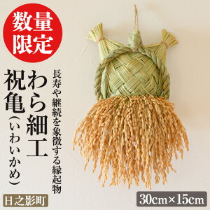 yӂ邳Ɣ[Łzs\tI2026N2ȍ~\聄׍H jT(30cm×15cm)N  H|i |i yWR005zyЂځz