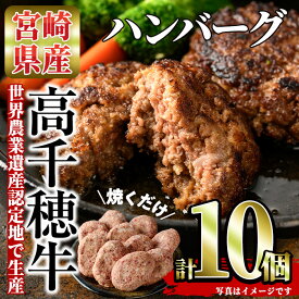 【ふるさと納税】高千穂牛 ハンバーグ(計10個・2個×5P)国産 宮崎県産 宮崎牛 牛肉 ハンバーグ 焼くだけ 便利 霜降り A4 和牛 ブランド牛 高千穂【MT005】【JAみやざき 高千穂牛ミートセンター】