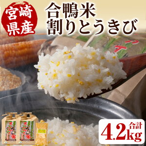 yӂ邳Ɣ[Łzʌ聄ߘa7NYACK(2kg×2)ƊƂ(200g)    Y сyMU016zyVeY()z