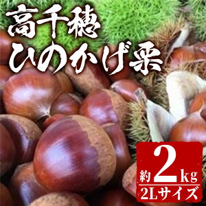 yӂ邳Ɣ[ŁzʌEԌ聄 Ђ̂I(2kg)I aI  H̖o I َq yNK001zy{茧_Ƌg@n{z