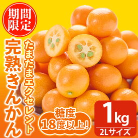 【ふるさと納税】＜先行予約受付中！2026年2月～3月中旬頃に発送＞完熟きんかん たまたまエクセレント(約1kg・2Lサイズ)果物 フルーツ 金柑 柑橘 期間限定【NK002】【宮崎県農業協同組合　高千穂地区本部】