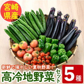 【ふるさと納税】＜数量限定・期間限定＞高千穂地区高冷地野菜詰め合わせ(5種) やさい きゅうり ピーマン トマト ミニトマト なす 茄子 冷蔵 季節 新鮮 旬 産地直送 【NK017】【宮崎県農業協同組合　高千穂地区本部】
