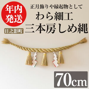 yӂ邳Ɣ[Łzs\tI2025N12ɔ\聄O{[ߓ(70cm) ʌ N  H|i |i  ߓ   U ߂Ȃ ׍H `H|i N
