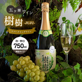 【ふるさと納税】 五ヶ瀬スパークリングワイン 樹樹 ‐JUJU‐ （ 白 ・ 甘口 ・ 発泡タイプ ） 750ml | 五ヶ瀬ワイナリー　　スパークリングワイン ワイン 白ワイン ナイアガラ 国産 宮崎 五ヶ瀬町 五ヶ瀬町産ぶどう100％