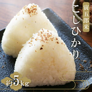 yӂ邳Ɣ[Łz s\񁄌܃Y Ђ ЌܘY 5kg |     RVqJ {茧 ܃