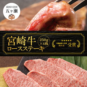 yӂ邳Ɣ[Łz{苍 [X Xe[L 250g × 4 i 1kg j | ʌ   ~  uh { ܃ 
