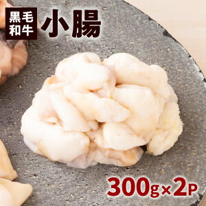 yӂ邳Ɣ[Łz јa  i z j 300g  × 2pbN  Y Yi    vv W[V[ ē Ă BBQ ` | X ^ p[eB[ Ƒ Fl 