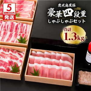 yӂ邳Ɣ[Łzy5cƓȓɔz ؍؎lidԂԃZbg1.3kg ӂ邳Ɣ[ s Y Y   ؓ |[N  Ԃ Y  Ԃ 