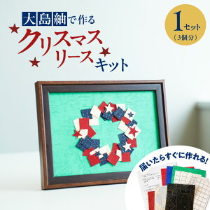 【ふるさと納税】<選べる> 大島紬 で作る 貼り絵 アート キット インテリア 伝統 工芸品 おもちゃ 雑貨 カラフル 手作り まんだら クリスマス ツリー リース 大人の習い事 おうち時間 敬老