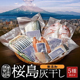 【ふるさと納税】 桜島 灰干し 5種 詰合せ 送料無料 海産物 海の幸 魚介 魚 さかな 干物 ひもの 手作り 手づくり 無添加 鯖 さば サバ 鯛 たい きびなご キビナゴ かんぱち たかえび 加工品 人気 鹿児島市 特産品 国産 ギフト 贈り物
