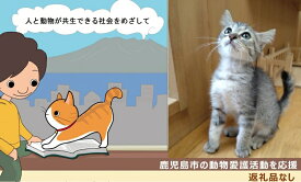 【ふるさと納税】＜返礼品なし＞ 鹿児島市の動物愛護活動を応援 1,000円 ～ 動物愛護 地域猫 活動 地域 犬 猫 動物 保護 支援 応援 殺処分ゼロ 飼養管理 譲渡促進 不妊去勢手術 治療 施設整備 ペット 愛犬家 愛猫家 鹿児島県 鹿児島市 ランキング プレゼント ギフト