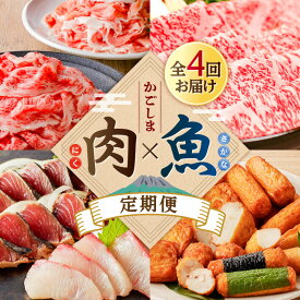 【ふるさと納税】【 肉 × 魚 】 4回 定期便 牛肉 豚肉 刺身 さつま揚げ 切り落とし 牛 黒毛和牛 豚 黒豚 肩ロース すき焼き カツオ たたき かんぱち 薩摩揚げ 練り物 かまぼこ 限定 定期 冷凍 冷蔵 セット バラエティ コラボ 鹿児島 おすすめ ランキング プレゼント ギフト