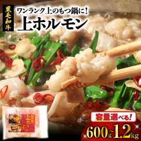 【ふるさと納税】＜容量選べる＞ ワンランク上 の もつ鍋 に！ 上ホルモン 600g or 1.2kg 肉 牛 もつ ホルモン 牛肉 黒毛和牛 焼肉 鍋 おかず つまみ 小腸 串焼き 小分け パック 夕食 国産 カミチク 鹿児島 鹿児島市 おすすめ ランキング プレゼント ギフト