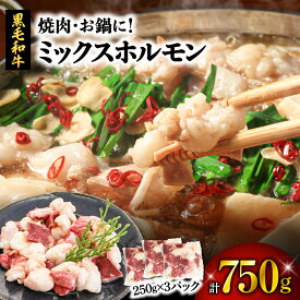 【ふるさと納税】＜容量選べる＞ 焼肉 お鍋 に！ ミックスホルモン 750g or 1.75kg 肉 牛 ホルモン 牛肉 黒毛和牛 もつ鍋 鍋 おかず つまみ 国産 もつ 小腸 シマ腸 小分け パック カミチク ふるさと納税 鹿児島 鹿児島市 おすすめ ランキング プレゼント ギフト