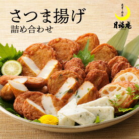 【ふるさと納税】月揚庵　さつま揚げ詰合せ 送料無料 鹿児島市 九州 特産品 お礼の品 おすすめ 人気 お土産 贈り物 プレゼント ギフト 本場 天ぷら 練り物 野菜 魚 すり身 惣菜 特産 伝統 郷土料理 地元 加工品 食品 冷蔵 おつまみ