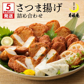 【ふるさと納税】【5営業日以内に発送】 月揚庵　さつま揚げ詰合せ 送料無料 鹿児島市 九州 特産品 お礼の品 おすすめ 人気 お土産 贈り物 プレゼント ギフト 本場 天ぷら 練り物 野菜 魚 すり身 惣菜 特産 伝統 郷土料理 地元 加工品 食品 冷蔵 おつまみ