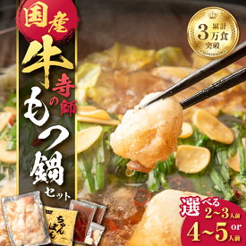 【ふるさと納税】＜選べる＞ 寺師 国産牛 もつ鍋 セット 2～3人前 or 4〜5人前 国産 牛 もつ モツ 牛もつ ホルモン ぷりぷり 鍋 薩摩 醤油 スープ ちゃんぽん 麺 雑炊 レトルト 簡単 小分け パック 冷凍 肉の寺師 鹿児島 鹿児島市 おすすめ ランキング プレゼント ギフト