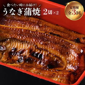 【ふるさと納税】【全3回食べたい時にお届け定期便】うなぎ蒲焼2切（1尾）×2パック うなぎ料理専門店 秘伝のたれ うなぎの蒲焼 セット 山椒 鰻 丑の日 スタミナ 大隅 ひつまぶし 炭火焼 職人 手焼き 国産 鹿児島県産 蒲焼 お取り寄せ グルメ 鹿児島市 送料無料
