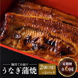 【ふるさと納税】【全6回 隔月1回(2ヶ月に1回) 定期便】うなぎ蒲焼2切（1尾）×2パック うなぎ料理専門店 秘伝のたれ うなぎの蒲焼 セット 山椒 鰻 丑の日 スタミナ 大隅 ひつまぶし 炭火焼 手焼き 国産 鹿児島県産 蒲焼 お取り寄せ グルメ 鹿児島市 送料無料