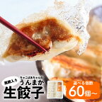 ちゃこばあちゃん 黒豚入り うんまか 生餃子 【内容量が選べる】 60個 96個 120個 5パック 8パック 10パック 19g 鹿児島市 九州 ビックファイブ 黒豚 白豚 野菜 冷凍餃子 餃子 焼くだけ 簡単 国内産 国産素材 皮もちもち 肉汁 サッパリ 美味しい 父の日