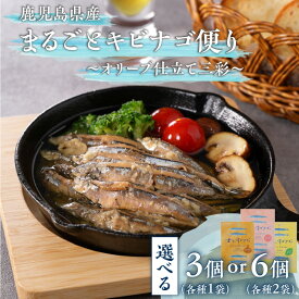 【ふるさと納税】＜選べる＞ 鹿児島県産 まるごとキビナゴ便り オリーブ仕立て三彩 3個 or 6個セット きびなご キビナゴ オリーブオイル プレーン ガーリック レモン おつまみ パスタ サラダ 惣菜 魚 魚介 小魚 丸八 鹿児島 おすすめ ランキング プレゼント ギフト