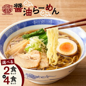 【ふるさと納税】＜選べる容量＞ 暖気家 醤油らーめん 2食 or 4食 セット ラーメン 醤油 拉麺 麺 麺類 保存料不使用 ちぢれ麺 生麺 中華麺 鶏ガラ スープ もちもち おいしい 夕食 昼食 朝食 早ゆで 快笑 鹿児島 おすすめ ランキング プレゼント ギフト