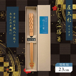 yӂ邳Ɣ[ŁzIׂ遄 ˂V V v p 22cm or jp 23cm g EY H  Y { ؂̍ ؂̉ ZNg  j LOi   