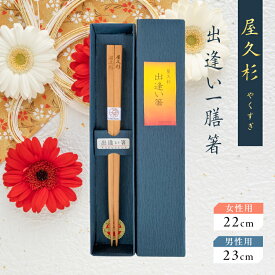 【ふるさと納税】＜選べる＞ 出逢い一膳箸 一組 一膳 屋久杉 女性用 22cm or 男性用 23cm 世界遺産 食器 おしゃれ 国産 日本製 木の香り 木の温もり セレクト お箸 箸 長寿箸 幸せの箸 米玉利工芸 ふるさと納税 鹿児島 おすすめ ランキング プレゼント ギフト