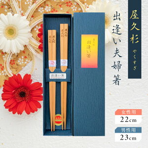 yӂ邳Ɣ[Łz ovw Zbg V v p 22cm jp 23cm EY H  Y { ؂̍ ؂̉ ͂ g Zbg vw vw   K̔