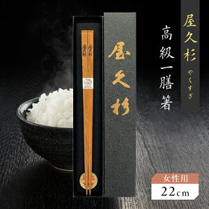 yӂ邳Ɣ[ŁzIׂ遄 V g V v p 22cm or jp 23cm EY  i H  { ؂̍ ؂̉    K̔ N ċʗH