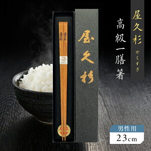 yӂ邳Ɣ[ŁzIׂ遄 V g V v p 22cm or jp 23cm EY  i H  { ؂̍ ؂̉    K̔ N ċʗH