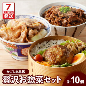【ふるさと納税】【7営業日以内に発送】 【岩元精肉店】鹿児島県産 贅沢 お惣菜 詰合せ セット A バラエティ かごしま黒豚 黒豚 ハンバーグ 炙り焼き 薄切り 味噌 味噌漬け お肉屋さん おか