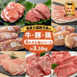 yӂ邳Ɣ[Łza{Iy ⌳X zs\  I 4 ͂ R[X v3.16kg Zbg oGeB     { јa  ǂ Xe[L [X  ނ o