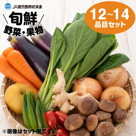 【ふるさと納税】【JA直売所セレクト】旬鮮野菜・果物セット（12～14品目） 鹿児島市 南国 鹿児島 特産品 JAグループ 安心 安全 新鮮 旬鮮 農産物 お野菜 野菜 やさい 果物 くだもの ご家族 贈り物 ギフト お歳暮 詰合せ セット 送料無料 母の日