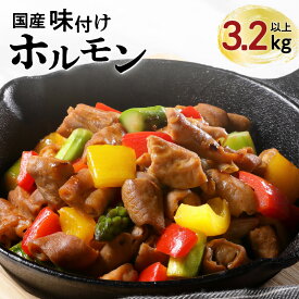 【ふるさと納税】【 ナンチクファクトリー 】国産豚 味付けホルモン 3.2kg 以上（F） 送料無料 鹿児島市 国産 豚 ホルモン 味付き 加工肉 加工品 惣菜 おかず 食品 時短 焼くだけ おすすめ ギフト プレゼント 焼肉 BBQ キャンプ 小分け 大容量 ボリューム