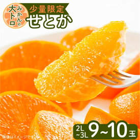 【ふるさと納税】令和5年4月30日までの申込限定 せとか 先行予約 ハウス栽培 期間限定 数量限定 2L 3L 柑橘界の大トロ みかん 柑橘 濃厚 希少 貴重 果物 果実 フルーツ 甘い とろける 食感 美味しい 桜島 国産 ギフト 産地直送 鹿児島県 送料無料